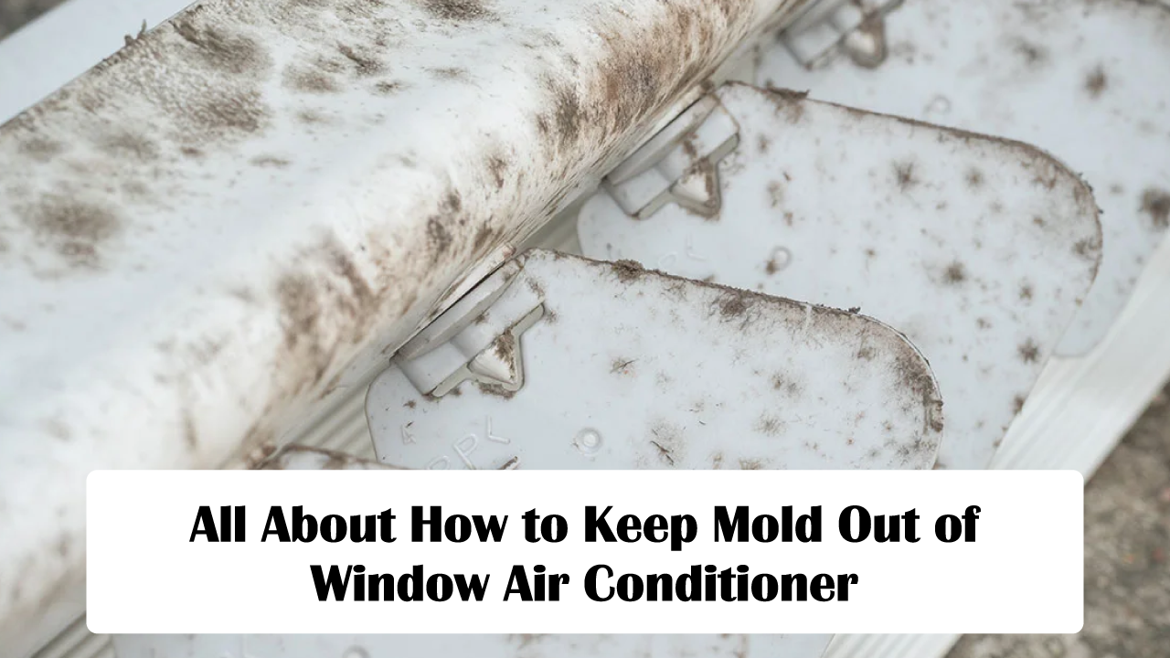 how to keep mold out of window air conditioner