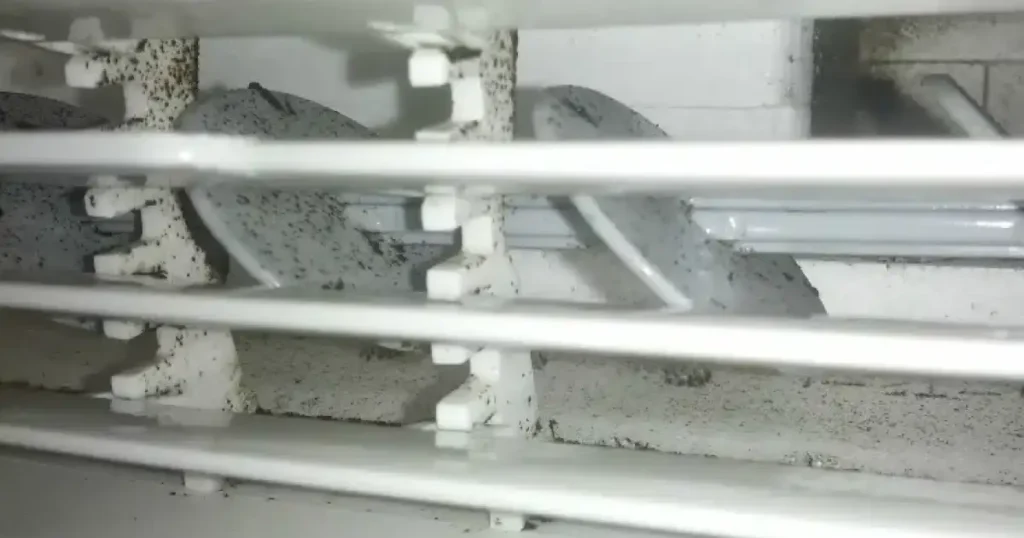 Mold and Mildew Inside