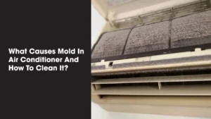 what causes mold in air ducts